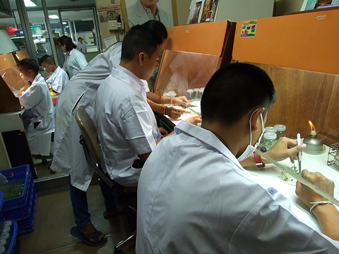 ทักษะปฏิบัติการด้านการเพาะเลี้ยงเนื้อเยื่อพืช โรงเรียนเบญจมราชูทิศ ราชบุรี