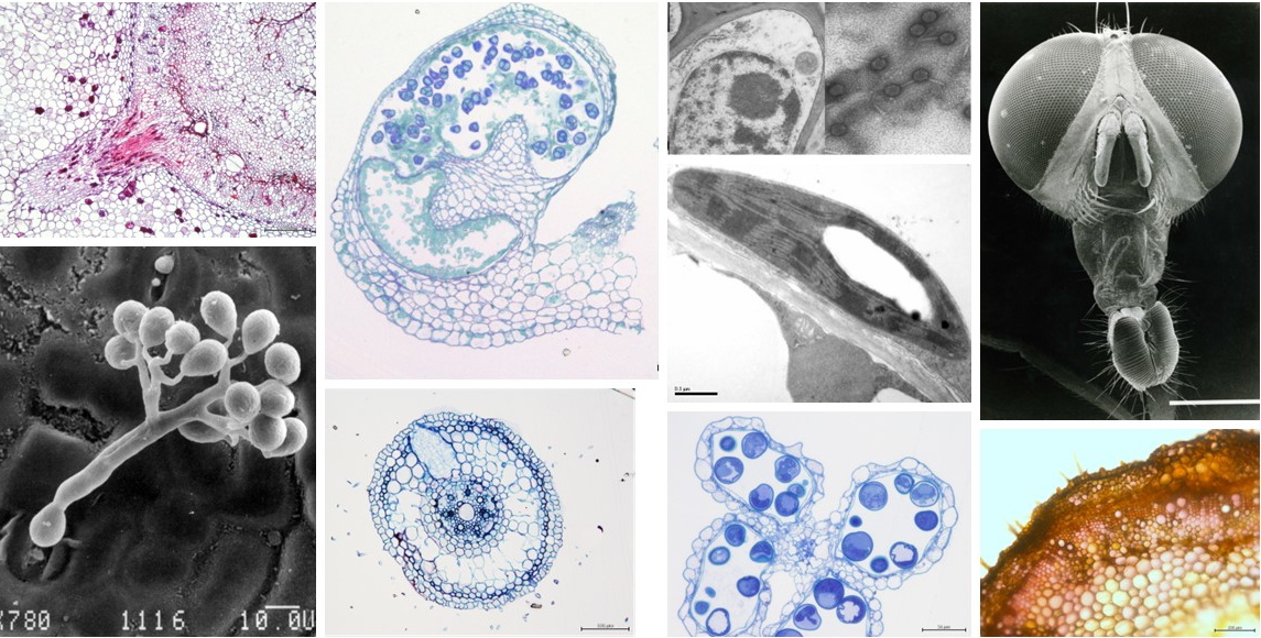 หน่วยอนุรักษ์และพัฒนาทรัพยากรชีวภาพ