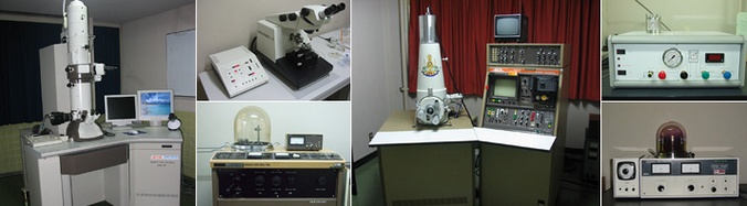 บริการกล้องจุลทรรศน์และกล้องจุลทรรศน์อิเล็กตรอน