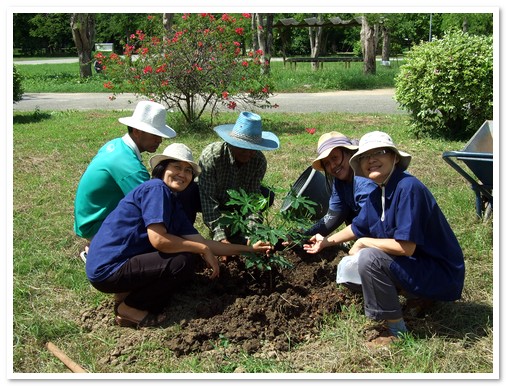โครงการปลูกต้นไม้เพื่อเพิ่มพื้นที่สีเขียว