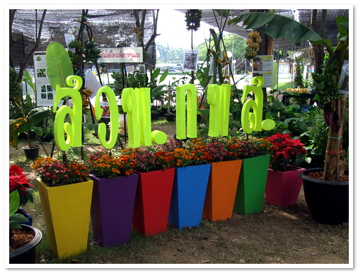 งานเกษตรกำแพงแสน ประจำปี 2556