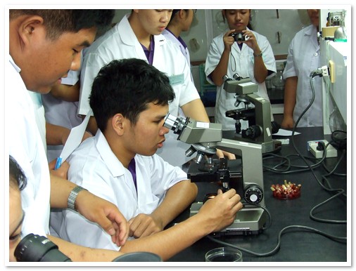 ก้าวแรกสู่การวิจัยทางวิทยาศาสตร์ โรงเรียนสาธิตแห่งมหาวิทยาลัยเกษตรศาสตร์ วิทยาเขตกำแพงแสน ศูนย์วิจัยและพัฒนาการศึกษา