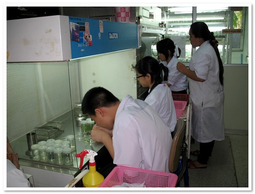 ทักษะการเพาะเลี้ยงเนื้อเยื่อพืช โรงเรียนเบญจมราชูทิศ ราชบุรี