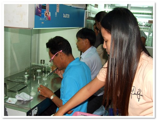 การขยายพันธุ์ไม้ดอกไม้ประดับด้วยเทคนิคการเพาะเลี้ยงเนื้อเยื่อ รุ่นที่ 37