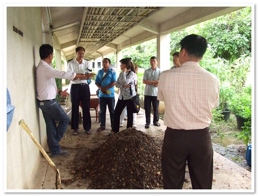 เทคนิคการผลิตวัสดุปลูกเพื่อการปลูกพืชผัก ไม้ดอกไม้ประดับ ไม้กระถาง รุ่นที่ 2