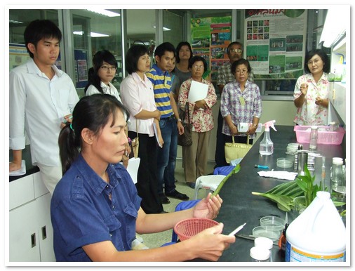 การขยายพันธุ์ การผสมพันธุ์ และการอนุรักษ์พันธุ์กล้วยไม้ไทย รุ่นที่ 2