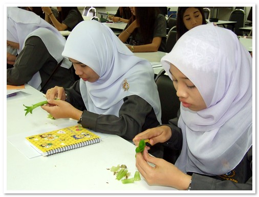 นิสิตชั้นปีที่ 3 และ 4 มหาวิทยาลัยทักษิณ จังหวัดพัทลุง