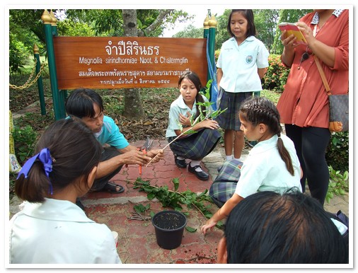 โรงเรียนเด็กสายรุ้ง