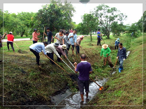 พัฒนาพื้นที่ศูนย์ปฏิบัติการวิจัยและเรือนปลูกพืชทดลอง ปี 2557