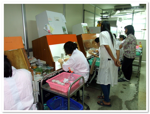 ทักษะปฏิบัติการด้านเพาะเลี้ยงเนื้อเยื่อพืช โรงเรียนเบญจมราชูทิศ ราชบุรี