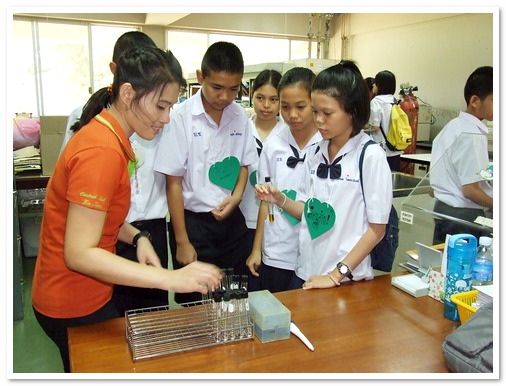 ทักษะปฏิบัติการพื้นฐานวิทยาศาสตร์ โรงเรียนเบญจมราชูทิศ ราชบุรี