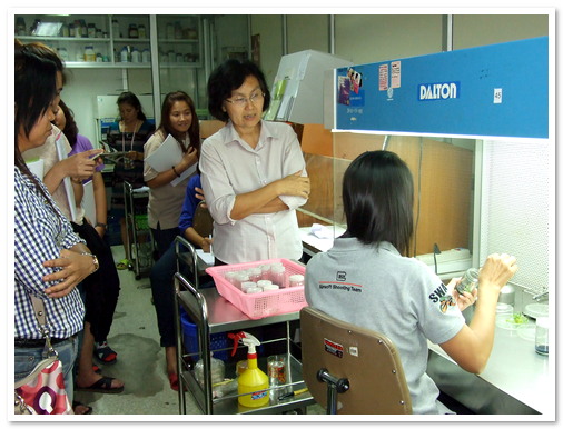 เทคนิคการผสมพันธุ์ การขยายพันธุ์ และการปลูกเลี้ยงกล้วยไม้