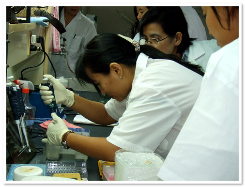 การจัดจำแนกจุลินทรีย์ด้วยเทคนิคชีวโมเลกุล รุ่นที่ 1