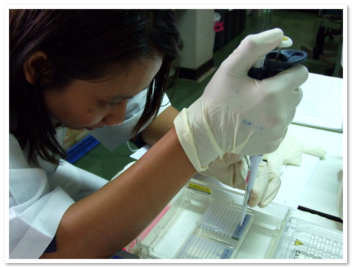 การจัดจำแนกจุลินทรีย์ด้วยเทคนิคชีวโมเลกุล รุ่นที่ 2