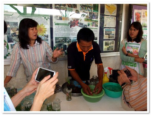 การขยายพันธุ์ไม้ดอกไม้ประดับด้วยเทคนิคการเพาะเลี้ยงเนื้อเยื่อ รุ่นที่ 39