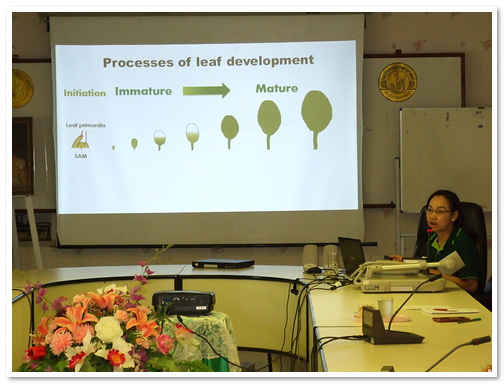 โครงการจัดการความรู้ เรื่อง Studies on morphological and gene expression change during leaf development in rice