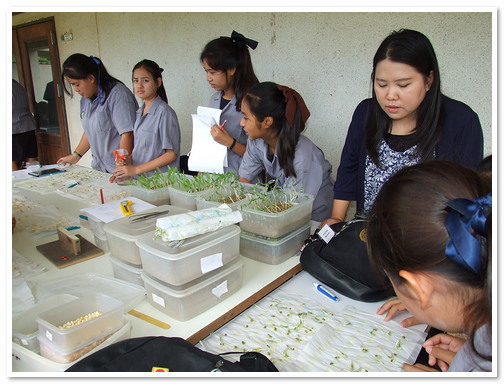 ทักษะวิทยาศาสตร์ โรงเรียนหนองเสือวิทยาคม จ. ปทุมธานี