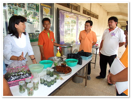 การขยายพันธุ์ไม้ดอกไม้ประดับด้วยเทคนิคการเพาะเลี้ยงเนื้อเยื่อ รุ่นที่ 40