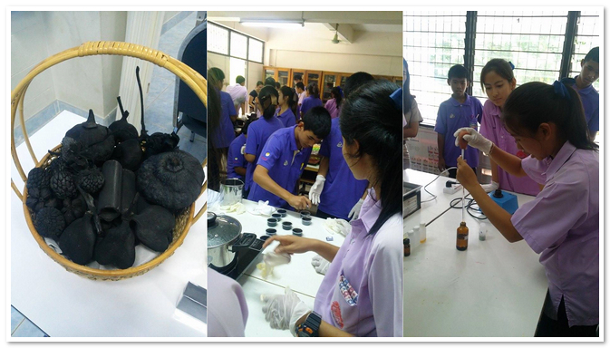 การผลิตและการใช้ประโยชน์จากถ่าน และน้ำส้มควันไม้