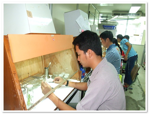 การขยายพันธุ์ไม้ดอกไม้ประดับด้วยเทคนิคการเพาะเลี้ยงเนื้อเยื่อ รุ่นที่ 41