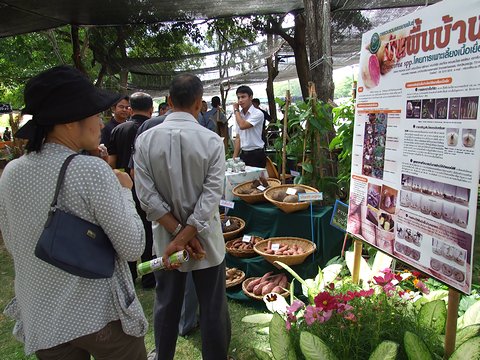 งานเกษตรกำแพงแสน ประจำปี 2559