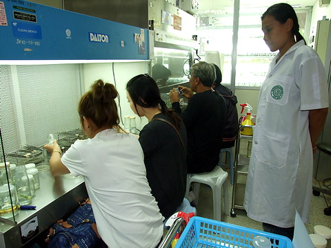 การขยายพันธุ์ไม้ดอกไม้ประดับด้วยเทคนิคการเพาะเลี้ยงเนื้อเยื่อ รุ่นที่ 44