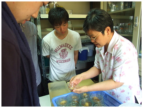 นิสิตแลกเปลี่ยนระดับปริญญาตรีจาก Niigata University ประเทศญี่ปุ่น