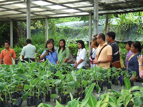 กลุ่มอารักขาพืช สำนักงานเกษตรจังหวัดอ่างทอง