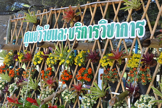 งานเกษตรกำแพงแสน ประจำปี 2560