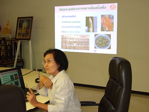 การขยายพันธุ์ไม้ดอกไม้ประดับด้วยเทคนิคการเพาะเลี้ยงเนื้อเยื่อ รุ่นที่ 47