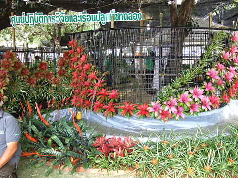 งานเกษตรกำแพงแสน ประจำปี 2562