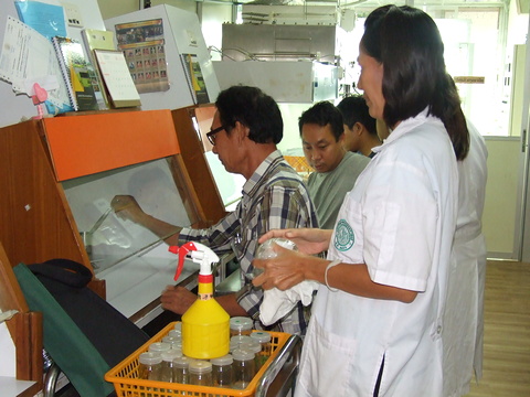 อบรมการขยายพันธุ์ไม้ดอกไม้ประดับด้วยเทคนิคการเพาะเลี้ยงเนื้อเยื่อ รุ่นที่ 53