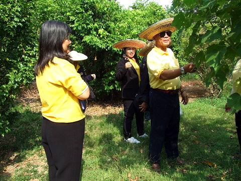 คณะผู้ประสานงานโครงการอนุรักษ์พันธุกรรมพืชอันเนื่องมาจากพระราชดำริฯ