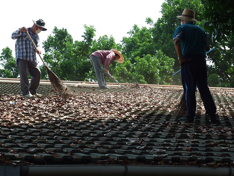 พัฒนาพื้นที่ศูนย์ปฏิบัติการวิจัยและเรือนปลูกพืชทดลอง ครั้งที่ 1