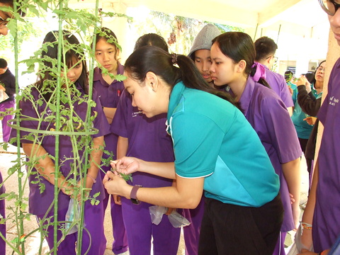 ก้าวแรกสู่การวิจัยทางวิทยาศาสตร์ โรงเรียนสาธิตแห่งมหาวิทยาลัยเกษตรศาสตร์ วิทยาเขตกำแพงแสน ศูนย์วิจัยและพัฒนาการศึกษา