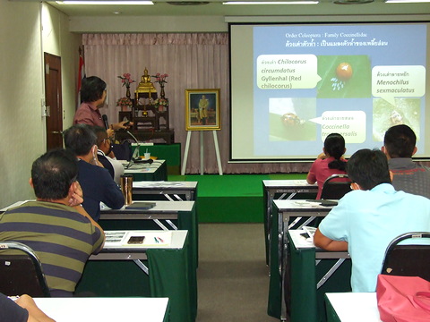 อบรมการผลิตพืชผักเกษตรอินทรีย์เชิงการค้า