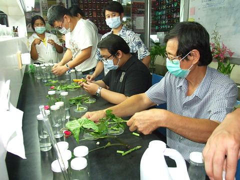 อบรมการขยายพันธุ์ไม้ดอกไม้ประดับด้วยเทคนิคการเพาะเลี้ยงเนื้อเยื่อ รุ่นที่ 54