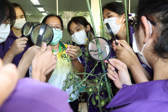 ก้าวแรกสู่การวิจัยทางวิทยาศาสตร์ โรงเรียนสาธิตแห่งมหาวิทยาลัยเกษตรศาสตร์ วิทยาเขตกำแพงแสน ศูนย์วิจัยและพัฒนาการศึกษา