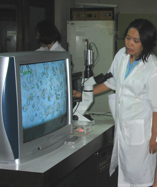 หน่วยทรัพยากรชีวภาพด้านแมลง