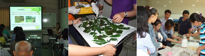 หน่วยการใช้ประโยชน์จากผลิตภัณฑ์ธรรมชาติ