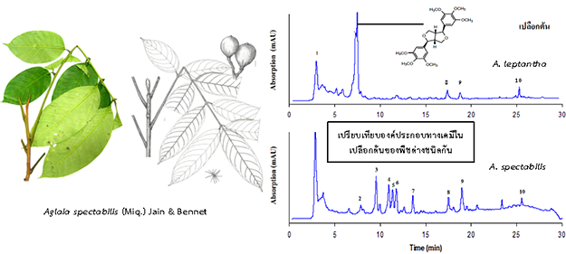 หน่วยวิเคราะห์ วิจัยพฤกษเคมี