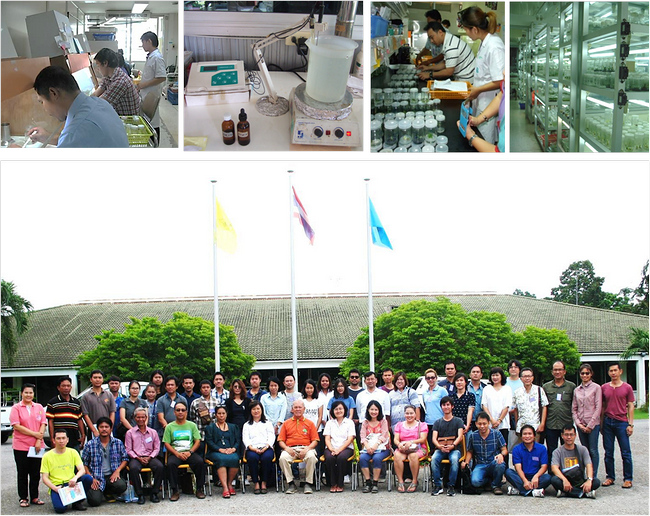 เพาะเลี้ยงเนื้อเยื่อพืช