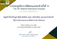 รางวัลนำเสนอผลงานภาคนิทัศน์ สาขาผัก ระดับชมเชย