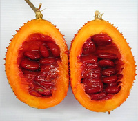 ฟักข้าว