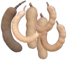 มะขามหวาน