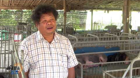 เทียนกิ่ง